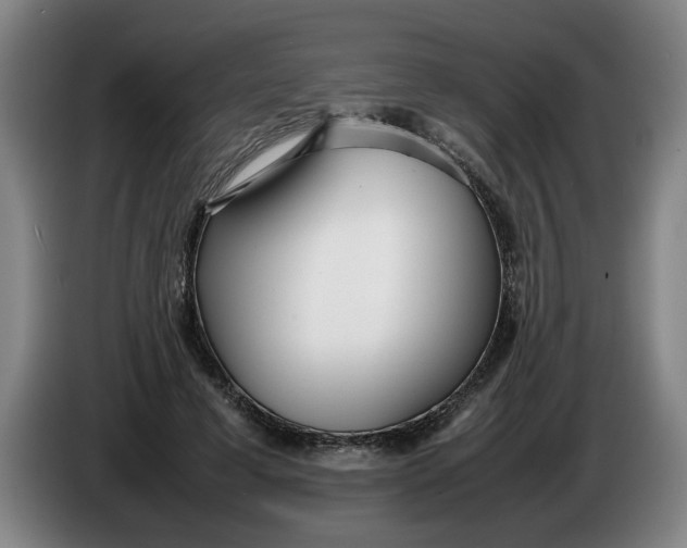 X0000086330593200704202043