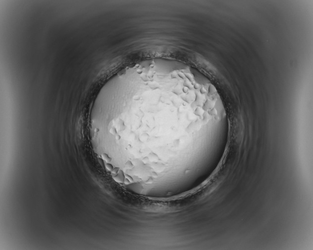 X0000086330594200704202043