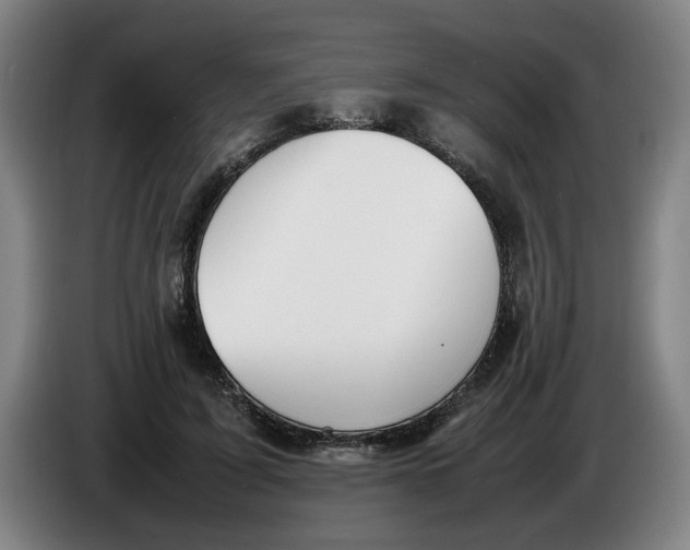 X0000086330595200704202043