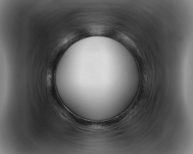 X0000086330596200704202043