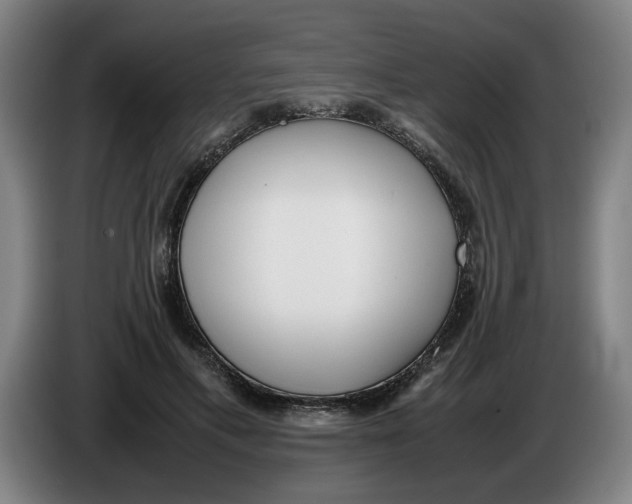 X0000086330597200704202043