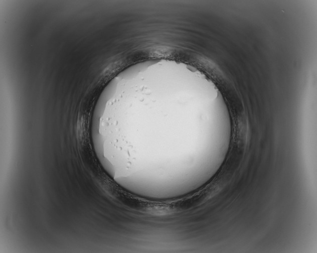 X0000086330598200704202043