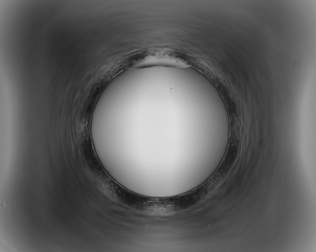 X0000086330601200704202043