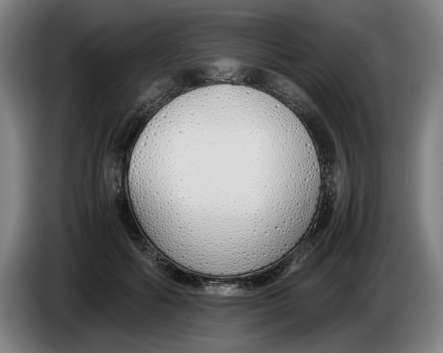 X0000086330602200704202043