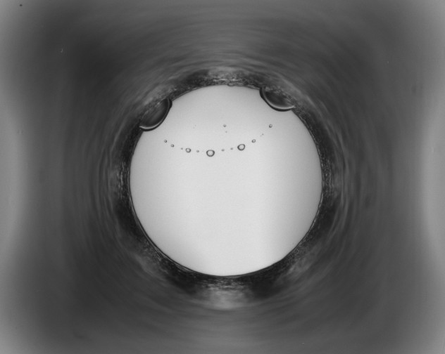 X0000086330603200704202043