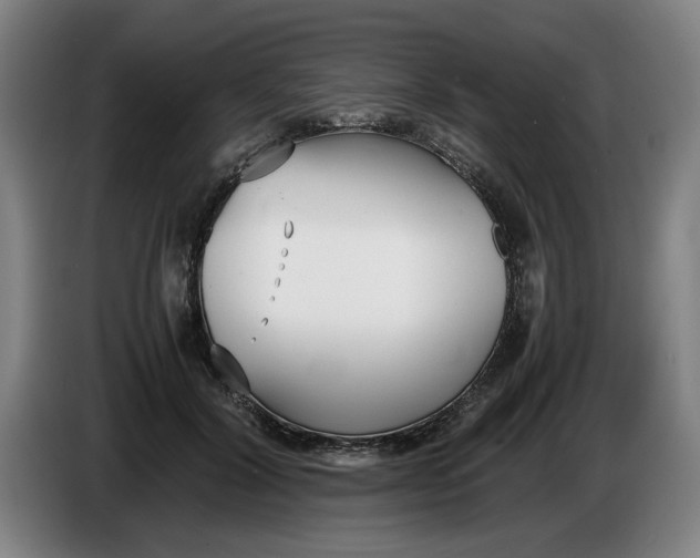 X0000086330604200704202043