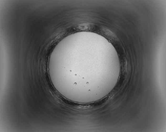 X0000086330606200704202043