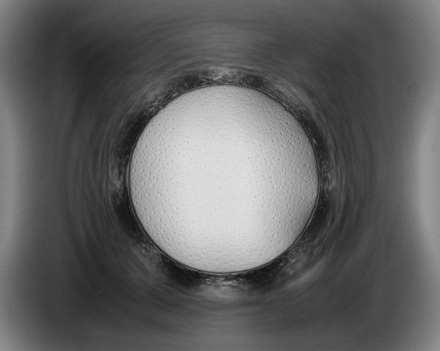 X0000086330607200704202043