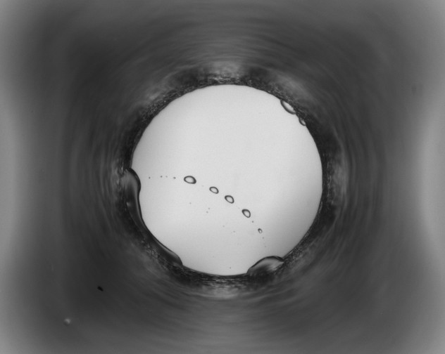 X0000086330608200704202043