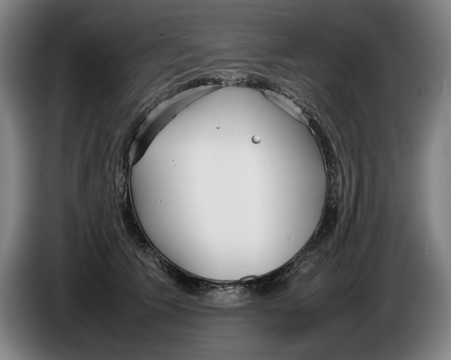 X0000086330609200704202043