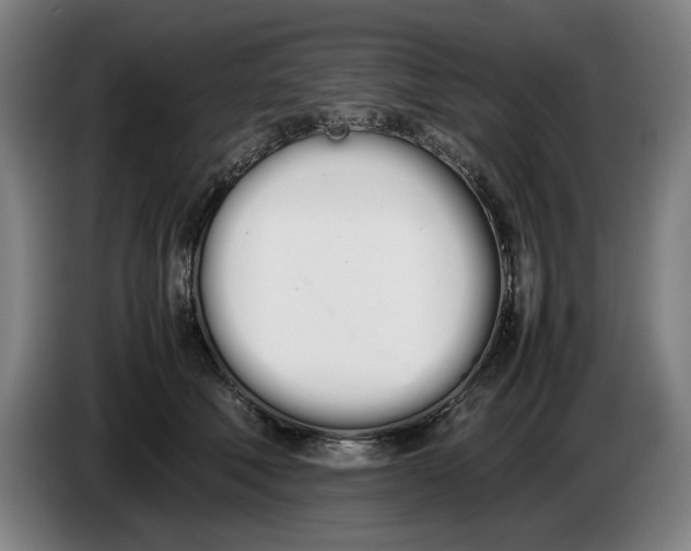 X0000086330610200704202043