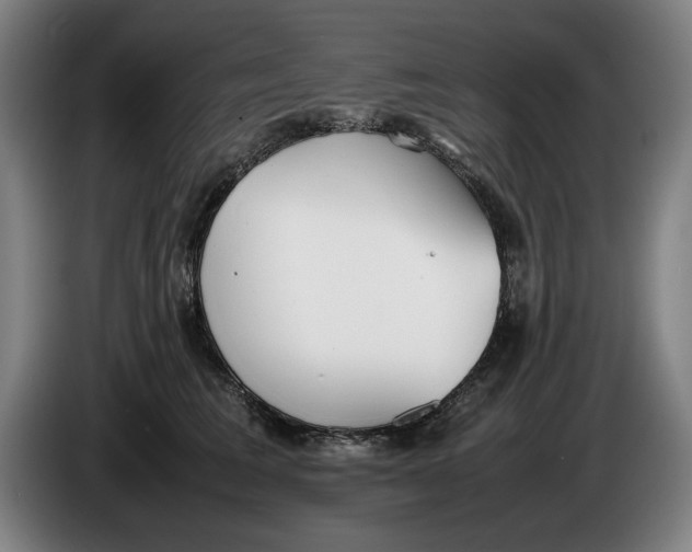 X0000086330613200704202043