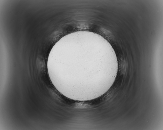 X0000086330614200704202043