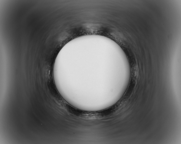 X0000086330615200704202043