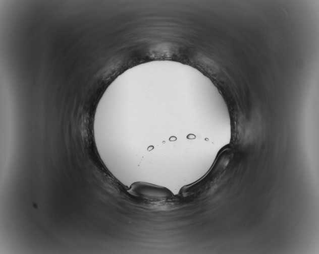 X0000086330616200704202043