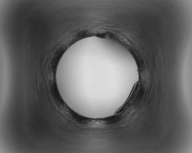 X0000086330617200704202043