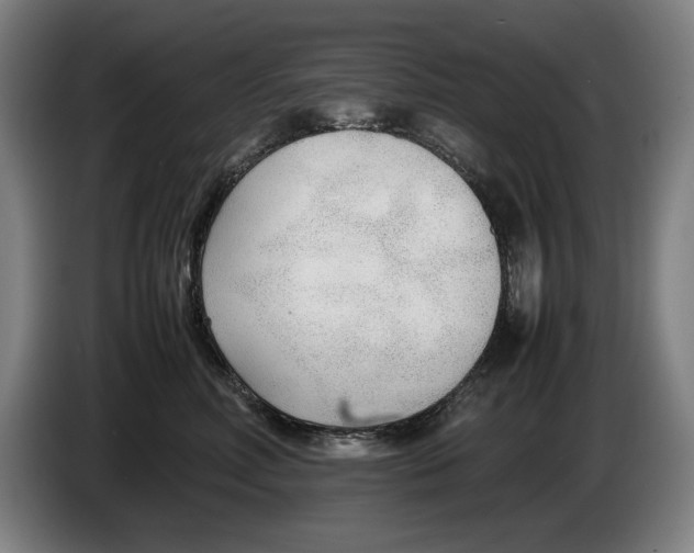 X0000086330618200704202043