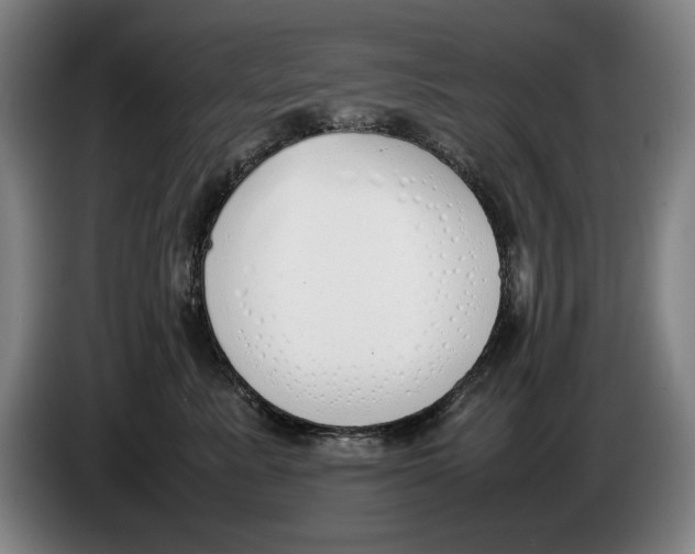 X0000086330619200704202043