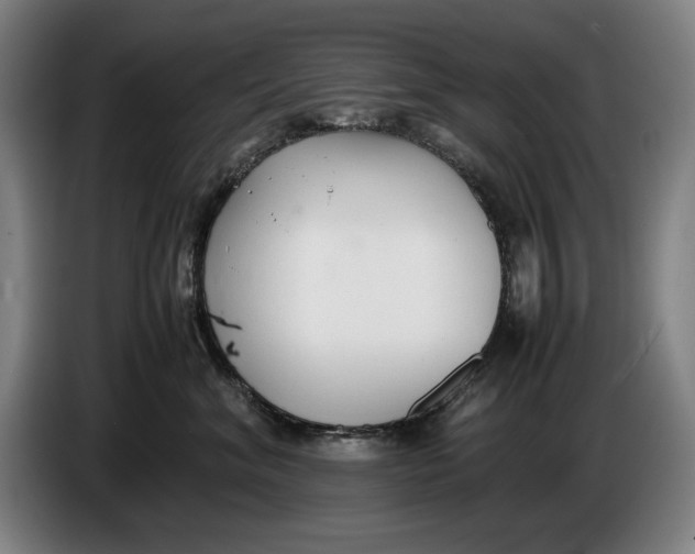 X0000086330620200704202043