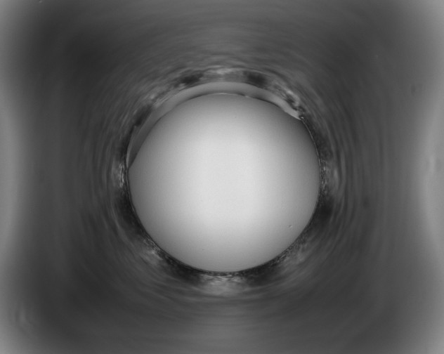 X0000086330621200704202043