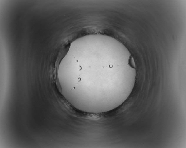 X0000086330624200704202043