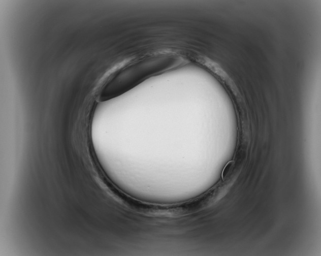 X0000086330625200704202042