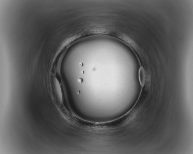 X0000086330626200704202042