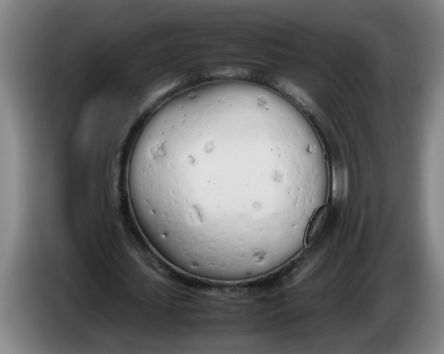 X0000086330627200704202042