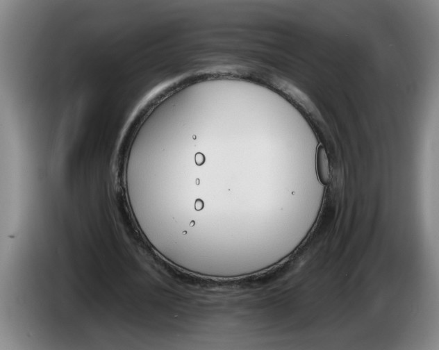 X0000086330628200704202042