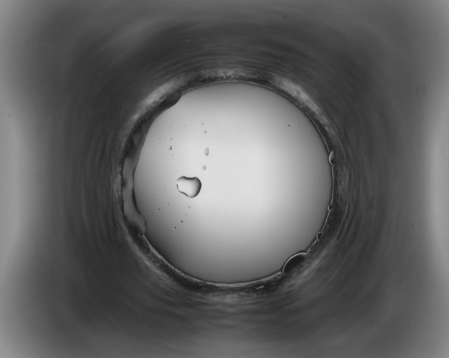 X0000086330629200704202042