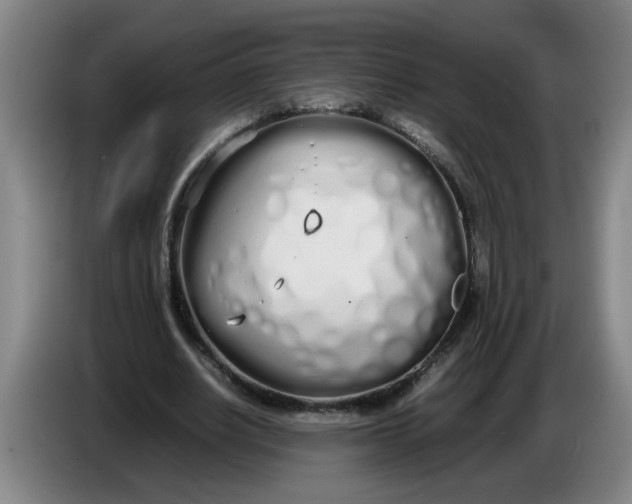 X0000086330630200704202042