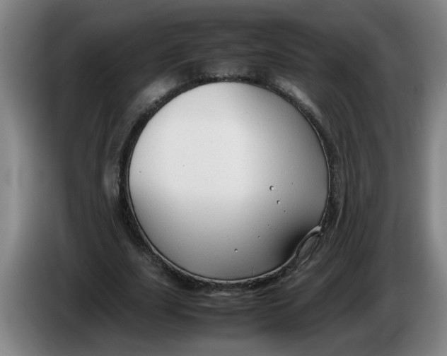 X0000086330631200704202042