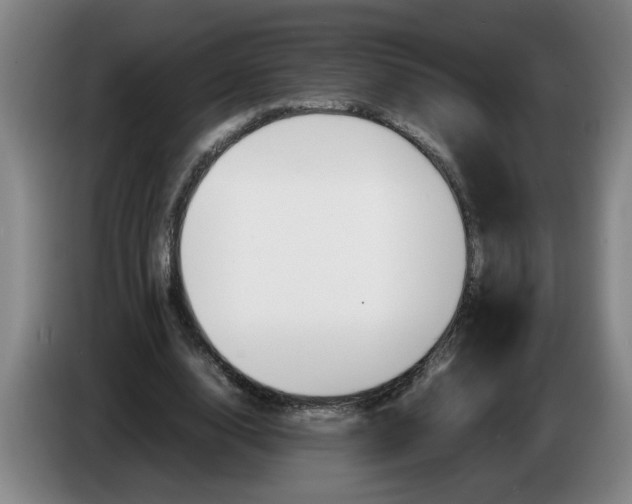 X0000086330632200704202042