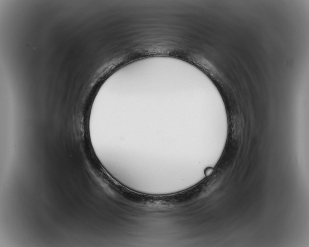 X0000086330634200704202042