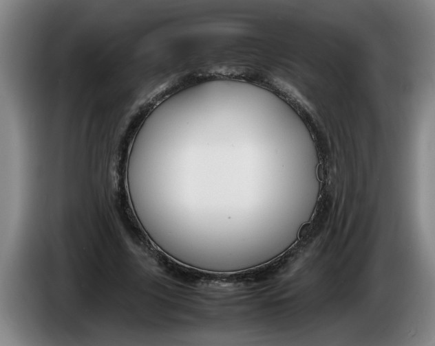 X0000086330635200704202042