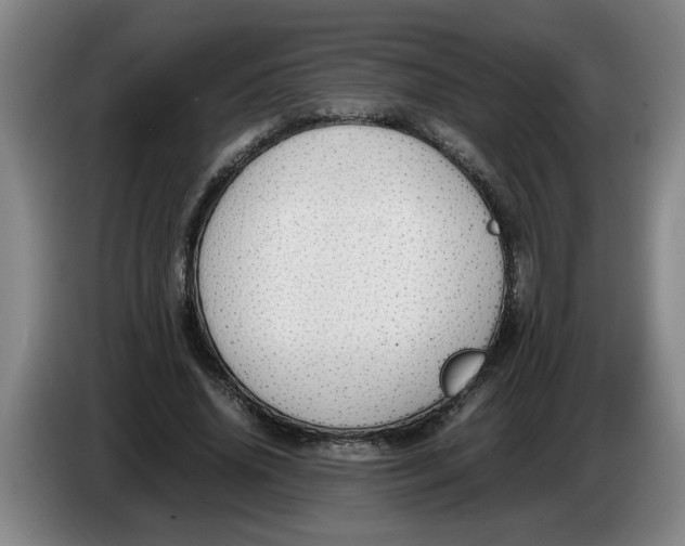 X0000086330636200704202042