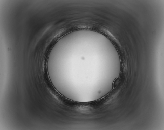 X0000086330637200704202042