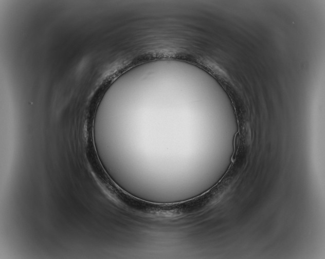 X0000086330638200704202042