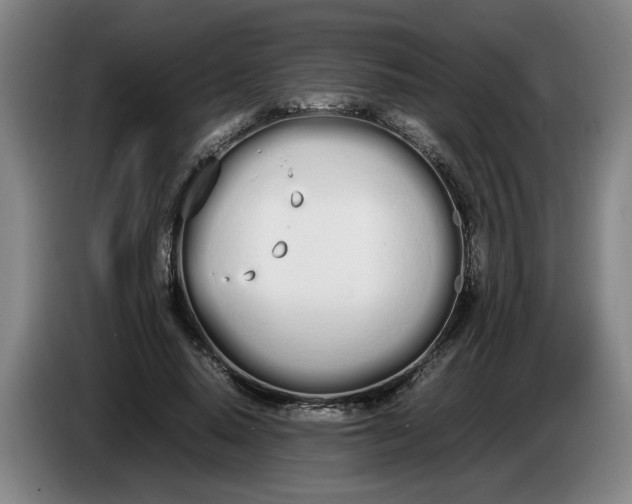 X0000086330640200704202042