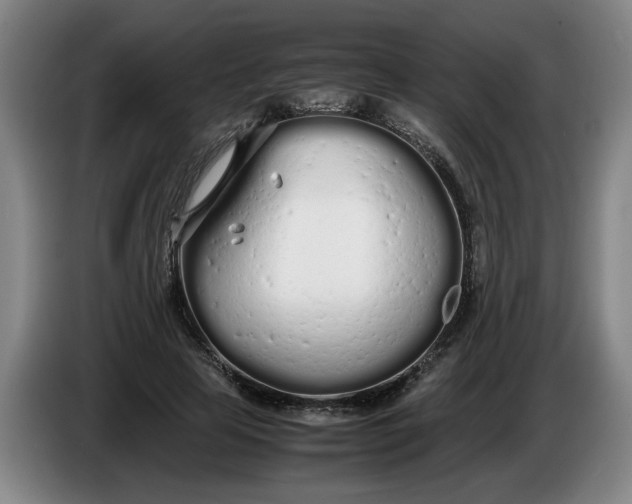 X0000086330641200704202042