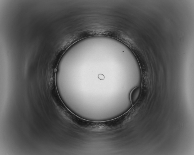 X0000086330642200704202042