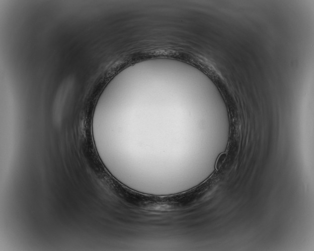 X0000086330643200704202042