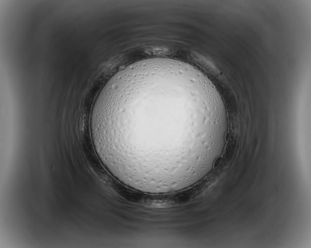 X0000086330645200704202042