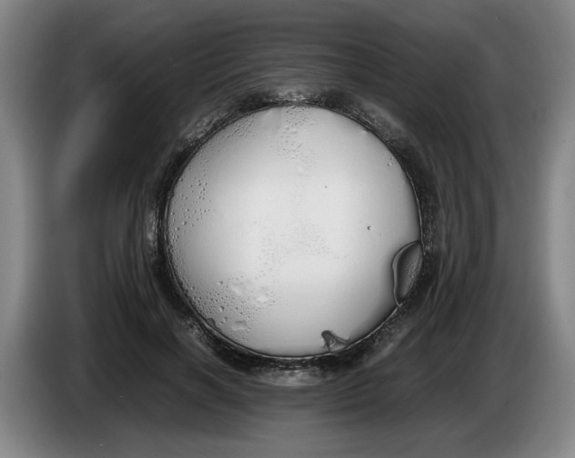 X0000086330646200704202042