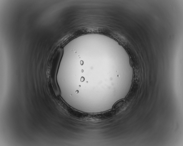 X0000086330648200704202042