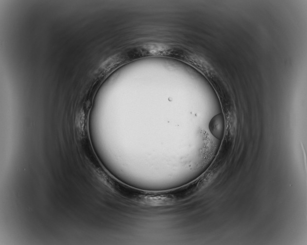 X0000086330650200704202042