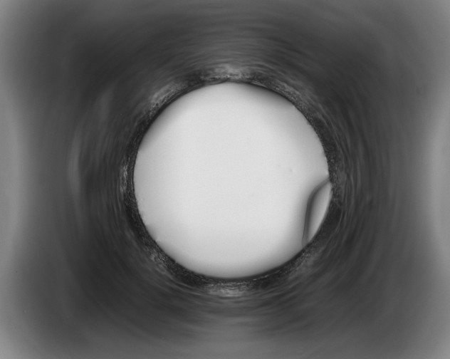 X0000086330652200704202042