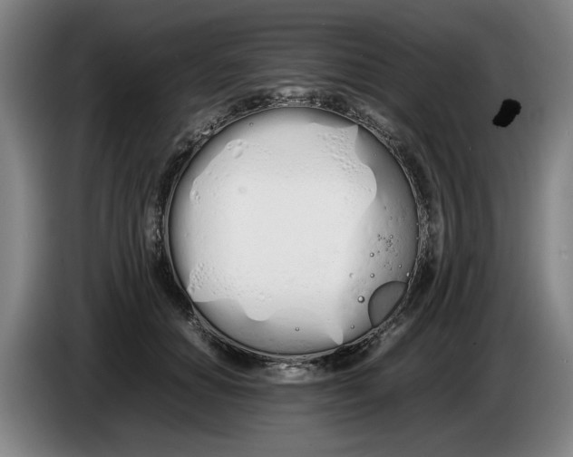 X0000086330654200704202042