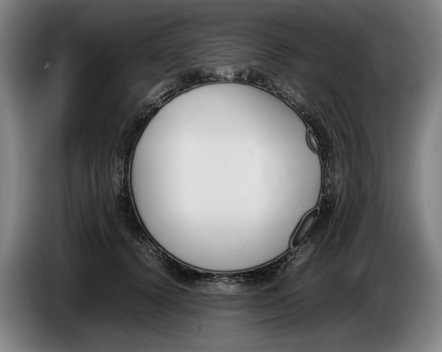 X0000086330656200704202042