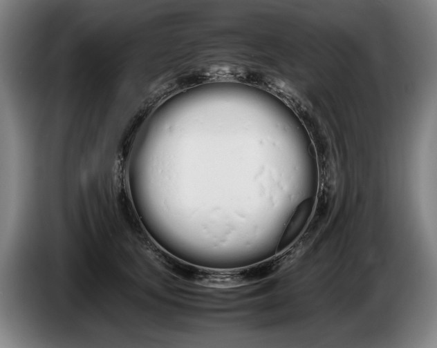 X0000086330659200704202042